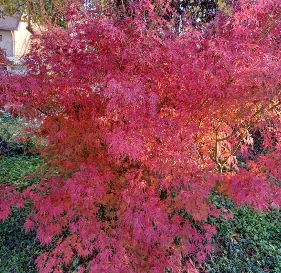 بنسيون Magdolna Vendégház Magánszálláshely