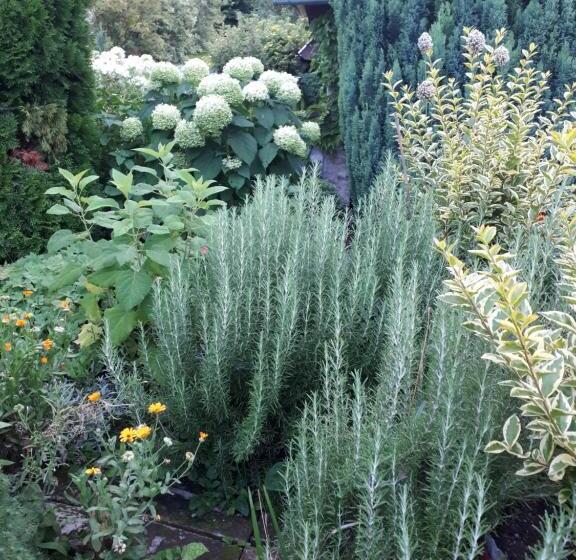 بنسيون Magdolna Vendégház Magánszálláshely