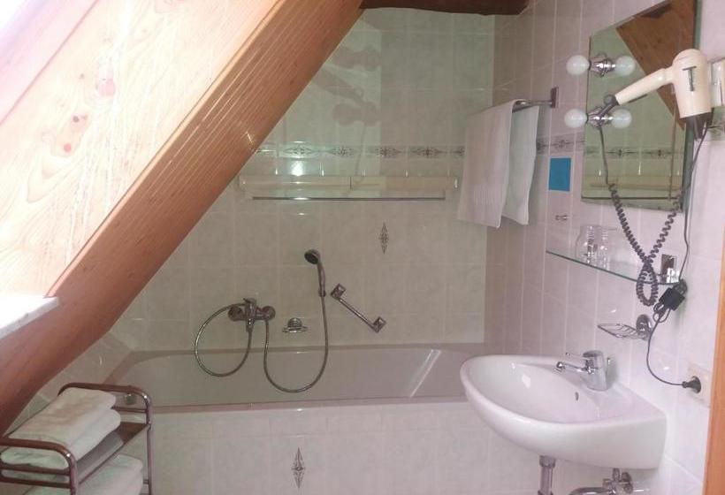 펜션 Windmühlenhof