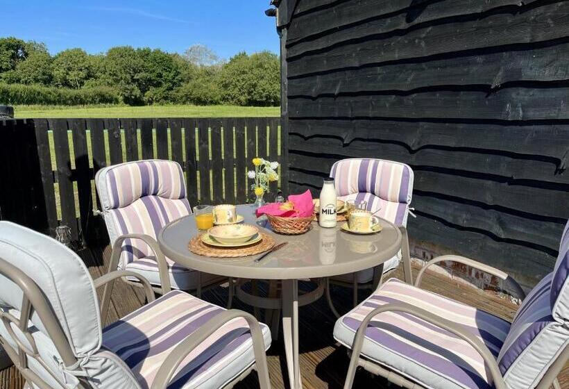 민박 Priors Oak A Cosy Studio With Countryside Views In Dorset