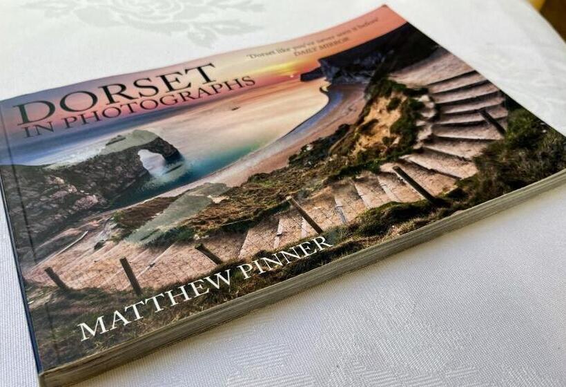 민박 Priors Oak A Cosy Studio With Countryside Views In Dorset