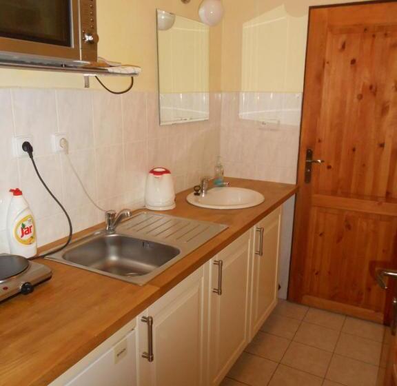 فندق صغير Hostinec U Rudy