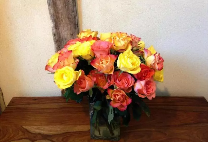 ベッドアンドブレックファースト Hameau De La Fausse Sauge