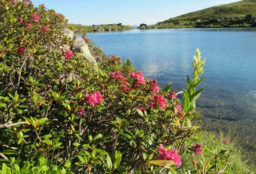 Gasthof Trattner Pension Waldhof