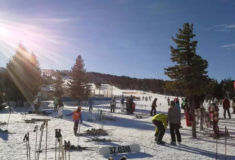 Gasthof Trattner Pension Waldhof