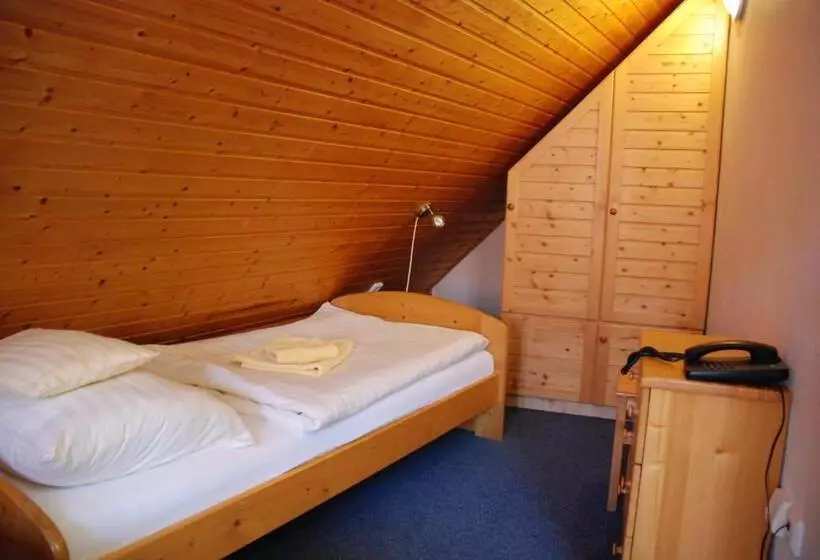 Hotelli U Růže