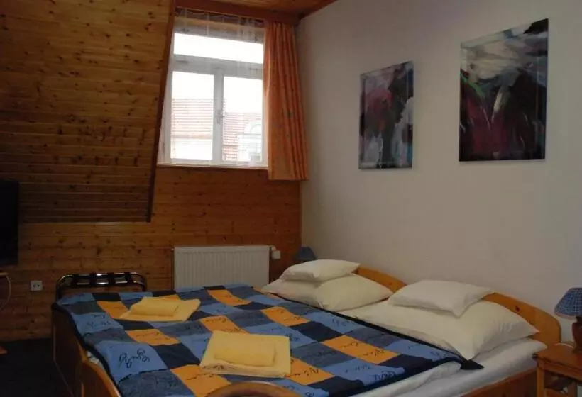Hotelli U Růže