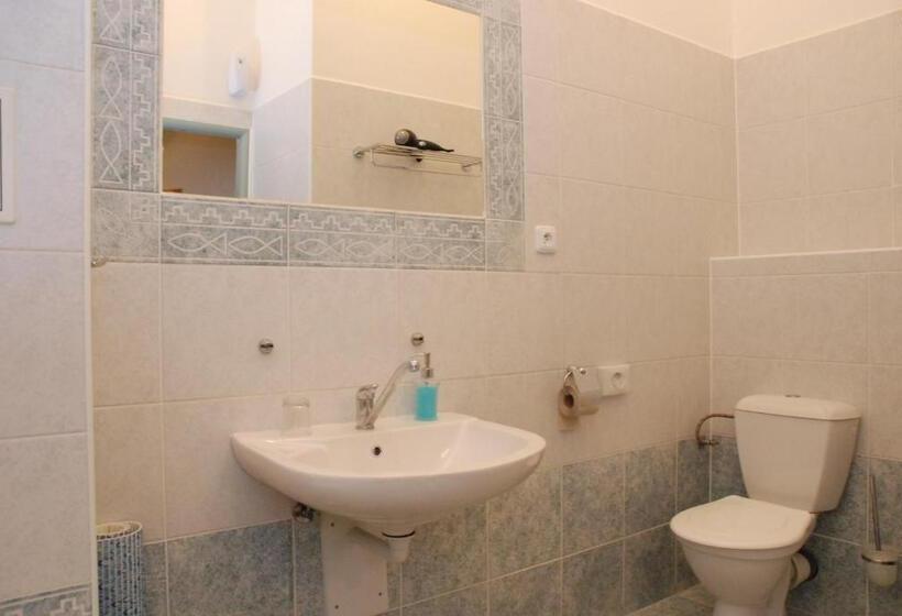 בית מלון כפרי U Růže