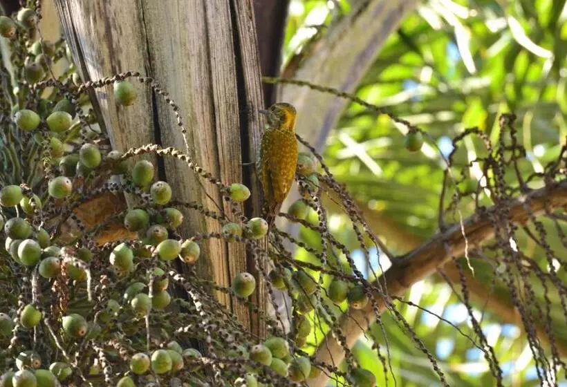 Majatalo Espaço Puri