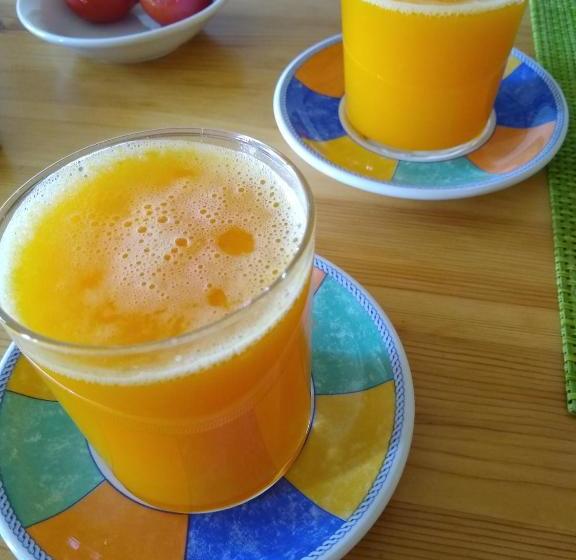 膳宿费 Hostal D éller