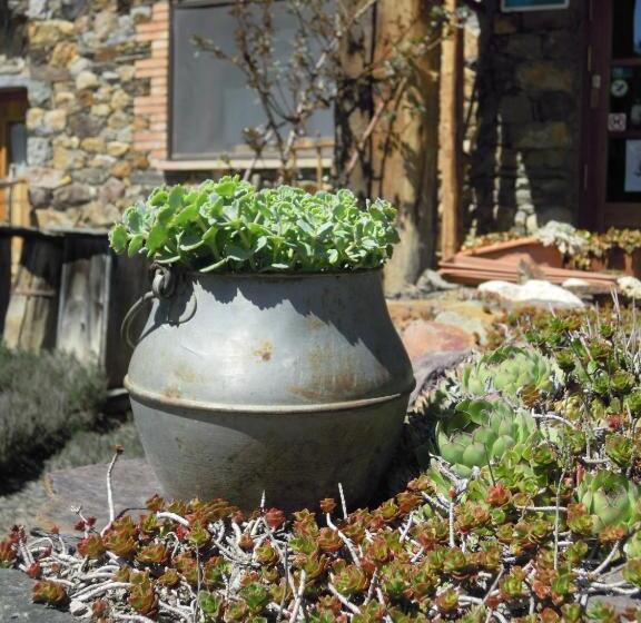 膳宿费 Hostal D éller