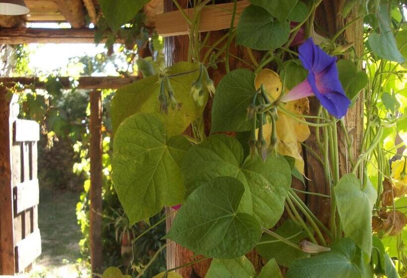 膳宿费 Hostal D éller