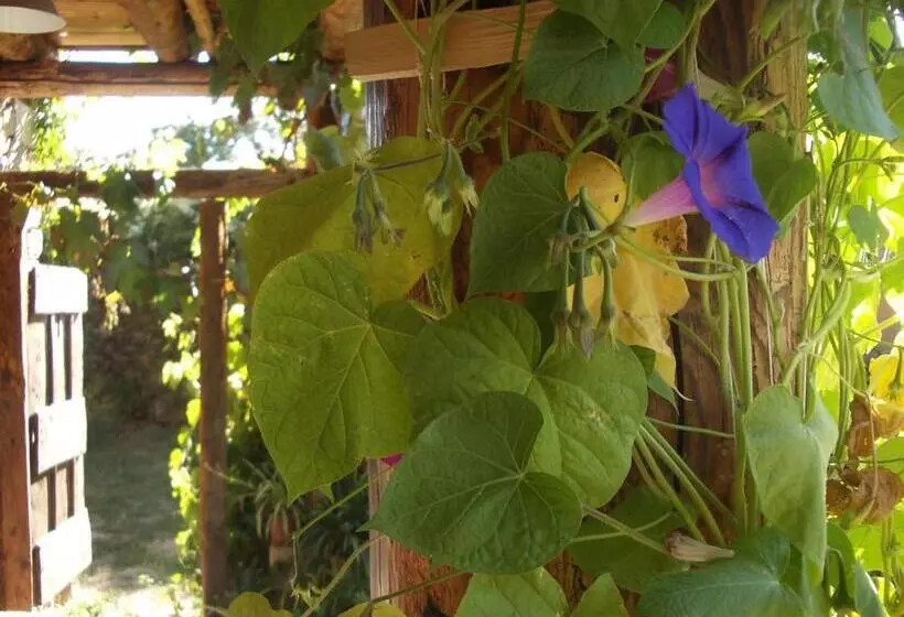 Majatalo Hostal D éller