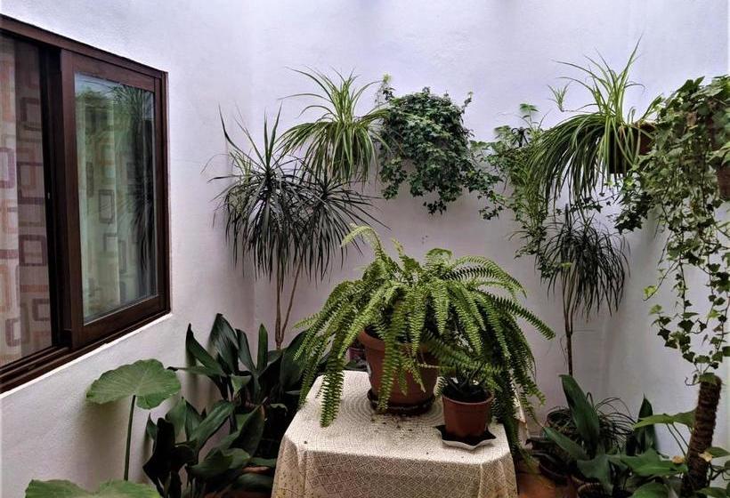 پانسیون Hostal Moraima