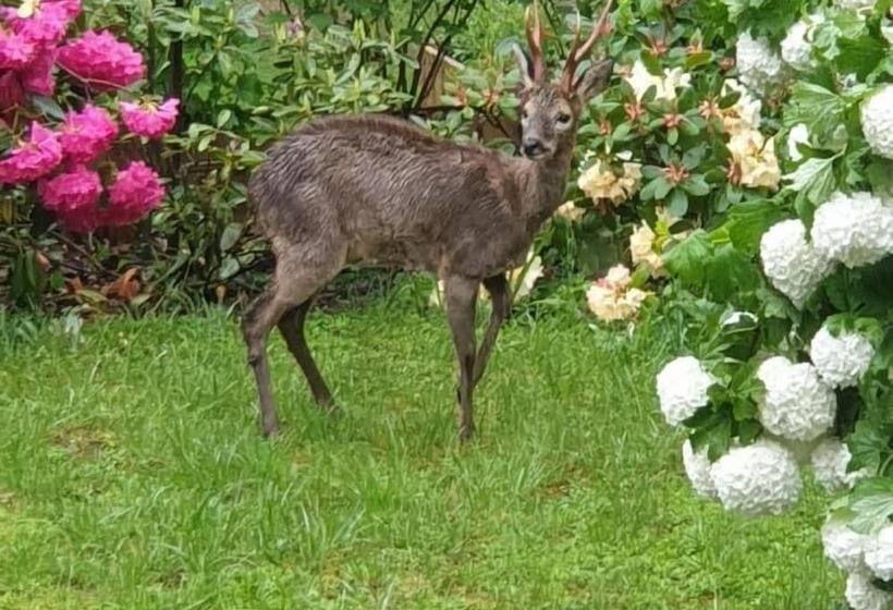 צימר Les Tables Aux Vaches Raviège