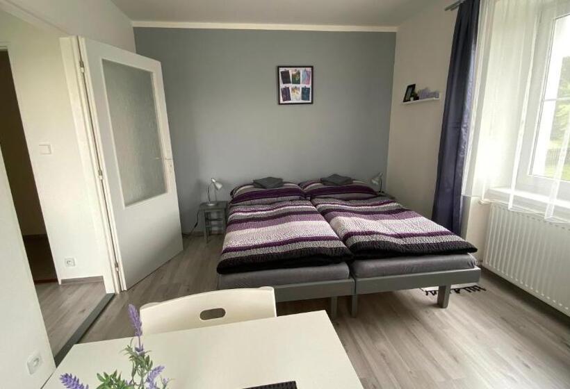 פנסיון Penzion Kamejk