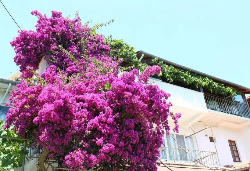 Rose Pension
