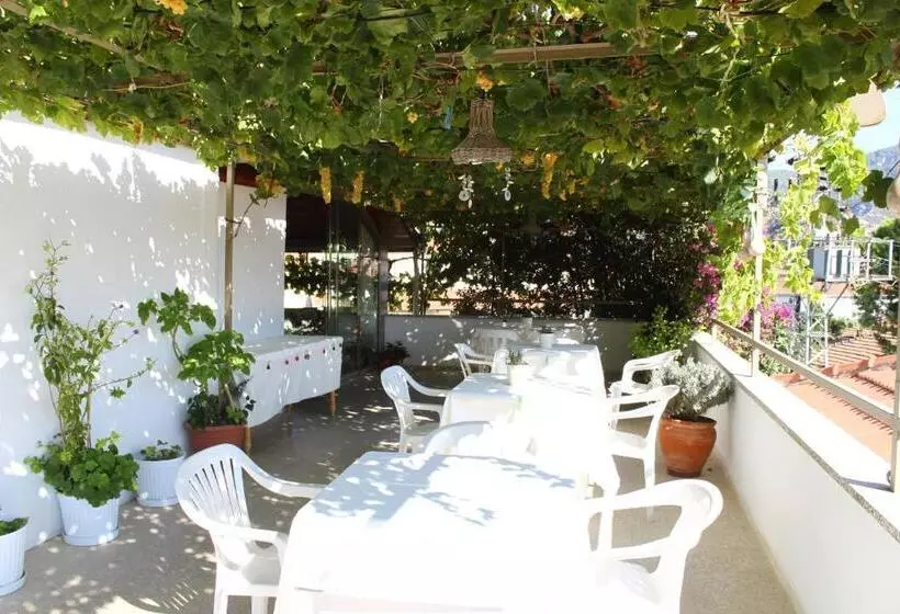 Rose Pension