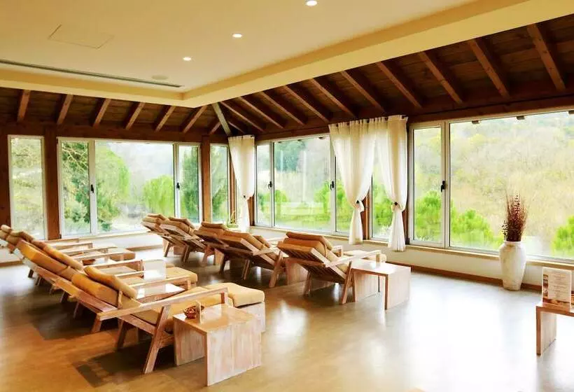 Отель Secret Forest