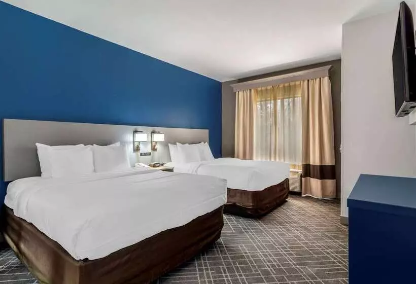 ホテル Comfort Suites