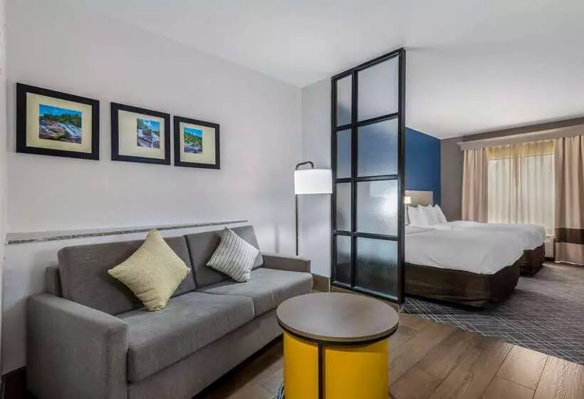 ホテル Comfort Suites