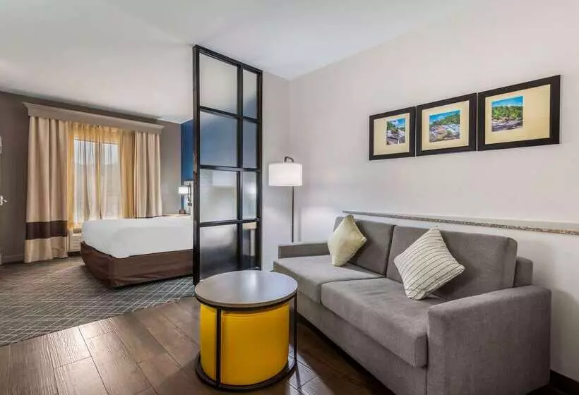 ホテル Comfort Suites