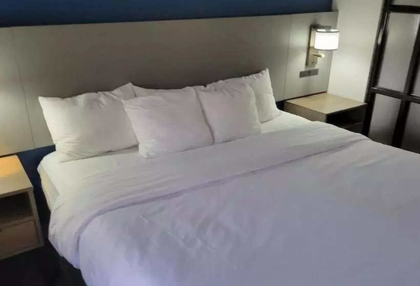 ホテル Comfort Suites