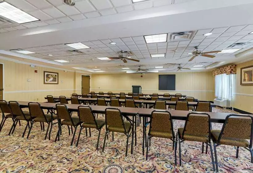 Hotel Comfort Suites Savannah North