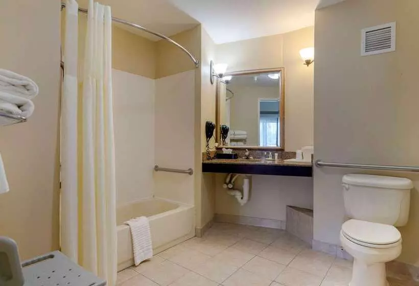 Hotel Comfort Suites Savannah North