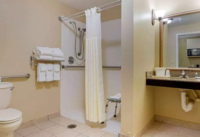 Hotel Comfort Suites Savannah North