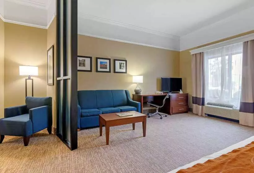 Hotel Comfort Suites Savannah North