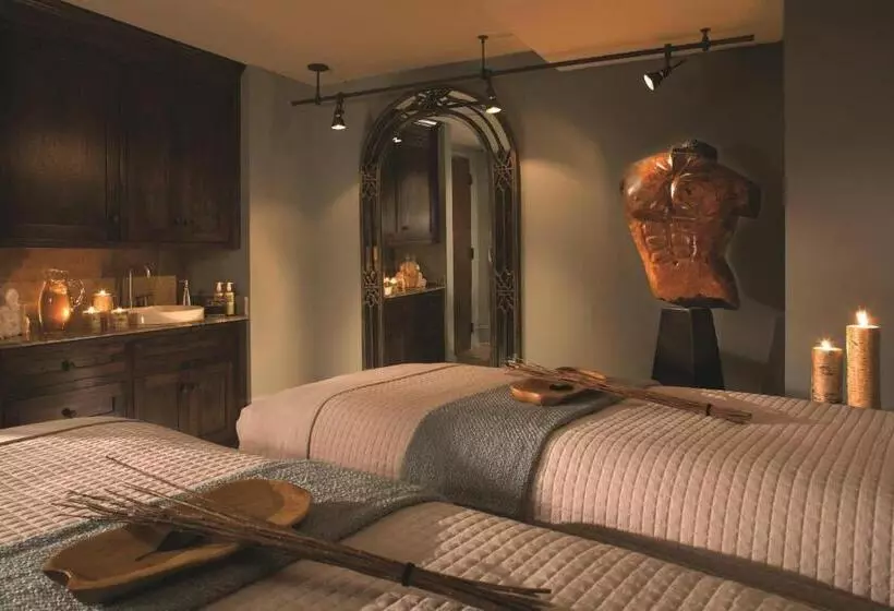 فندق Grand Bohemian Asheville, Autograph Collection