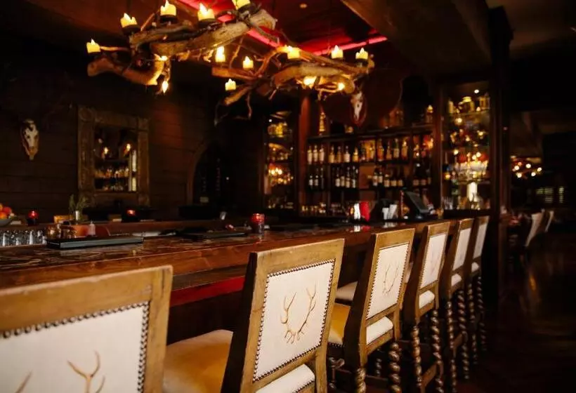 فندق Grand Bohemian Asheville, Autograph Collection