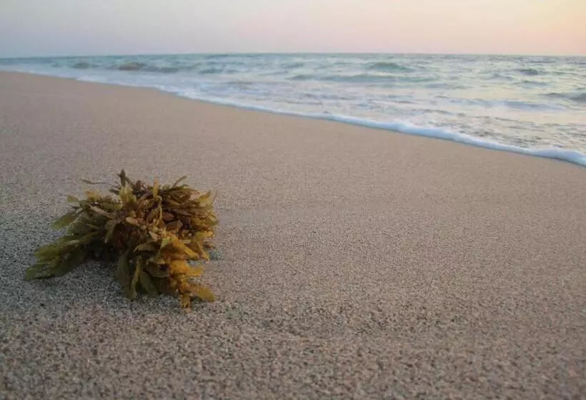 Hotel Lanta Il Mare Beach Resort