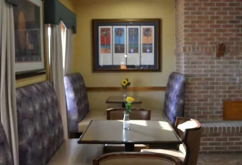ホテル Quality Inn And Suites Dublin