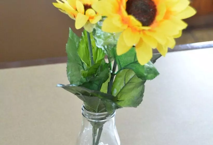 ホテル Quality Inn And Suites Dublin