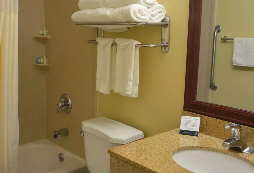 ホテル Quality Inn And Suites Dublin