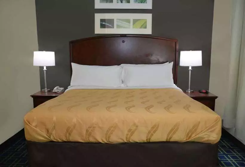 ホテル Quality Inn And Suites Dublin