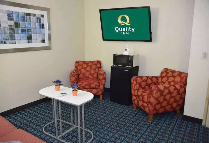 ホテル Quality Inn And Suites Dublin