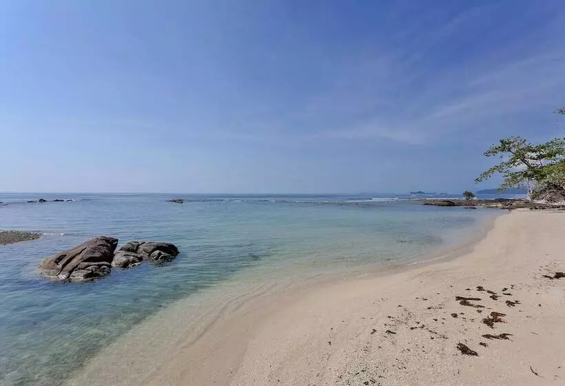 호텔 Shasa Resort Luxury Beachfront Suites