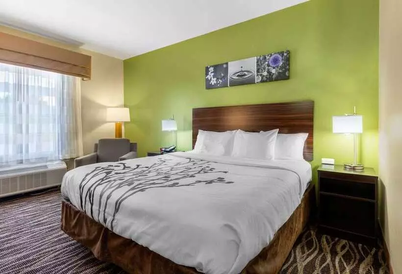 酒店 Sleep Inn & Suites Millbrook  Prattville