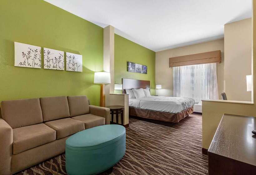 酒店 Sleep Inn & Suites Millbrook Prattville