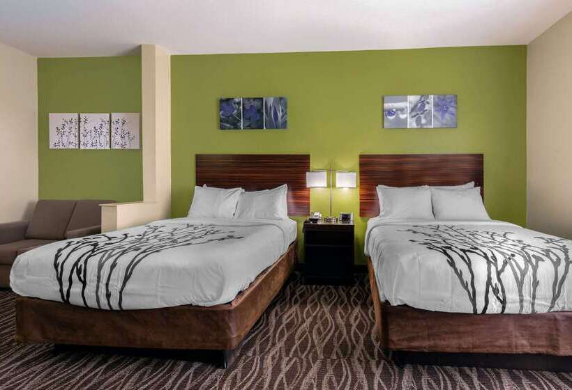 酒店 Sleep Inn & Suites Millbrook Prattville