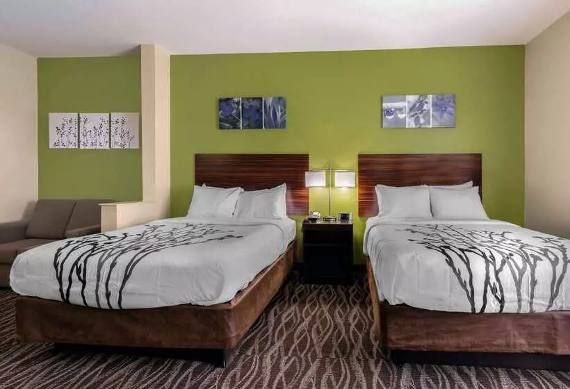 酒店 Sleep Inn & Suites Millbrook  Prattville