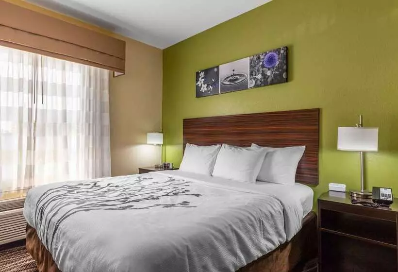 酒店 Sleep Inn & Suites Millbrook  Prattville