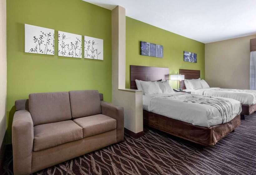 酒店 Sleep Inn & Suites Millbrook Prattville