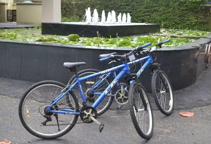 בית מלון כפרי The Grand Southsea Khaolak Beach Resort