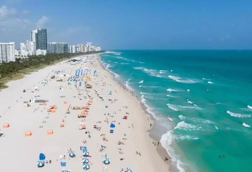 Z Ocean Hotel, Classico A Sonesta Collection