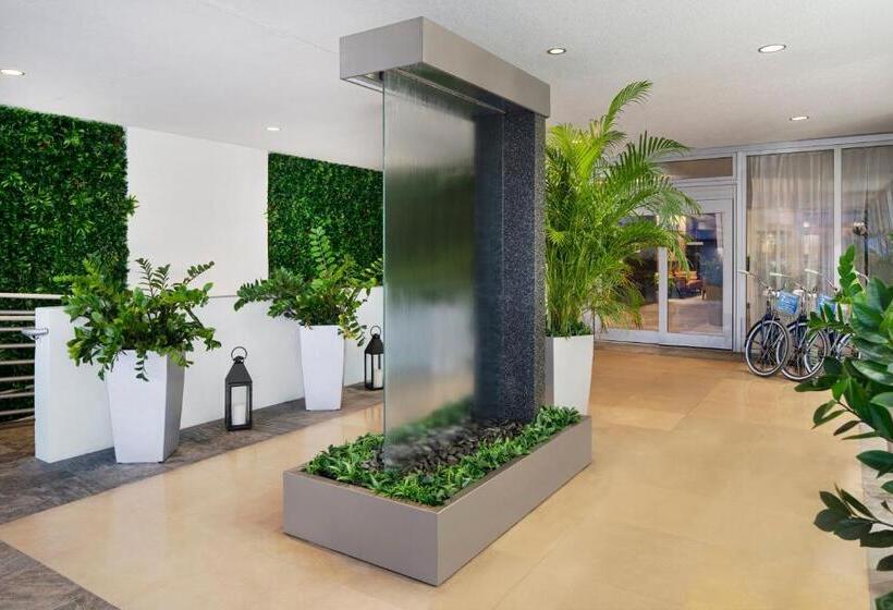 Z Ocean Hotel, Classico A Sonesta Collection