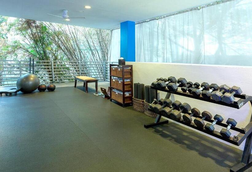 Z Ocean Hotel, Classico A Sonesta Collection